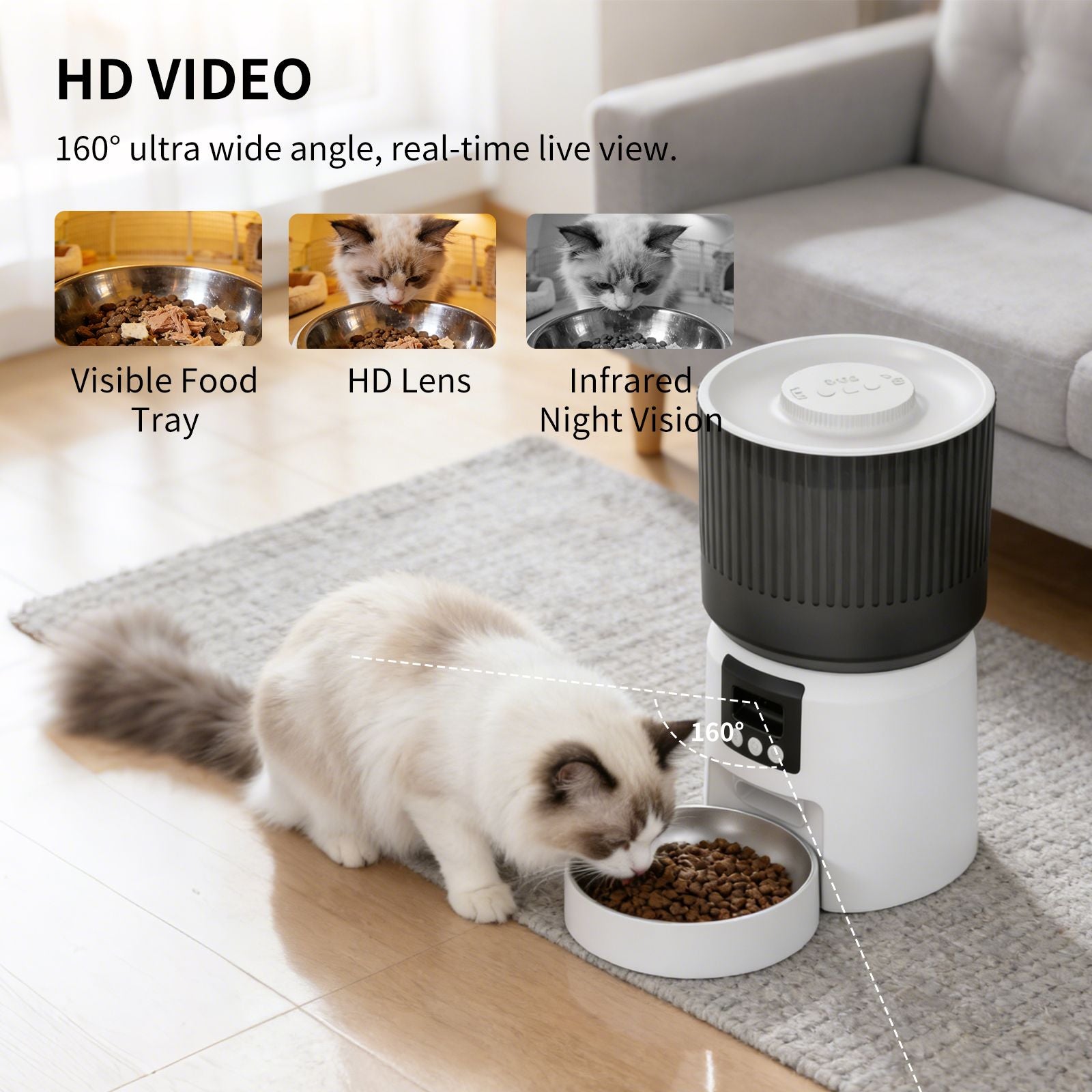 543379331